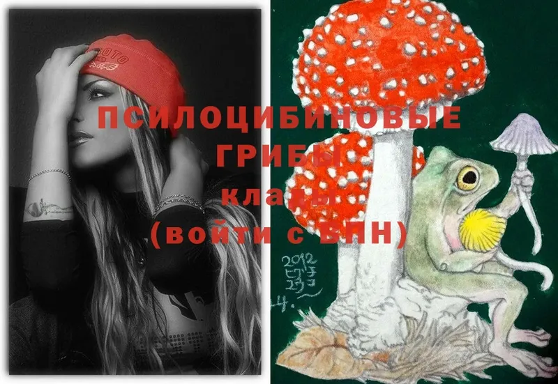 Галлюциногенные грибы Cubensis  Алапаевск 